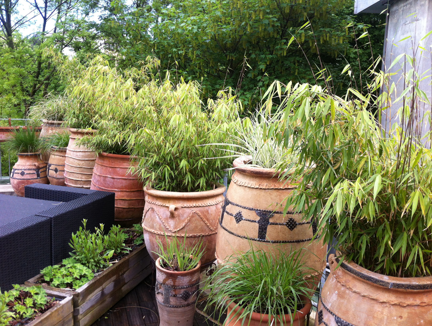 Diverses plantations - Image 3