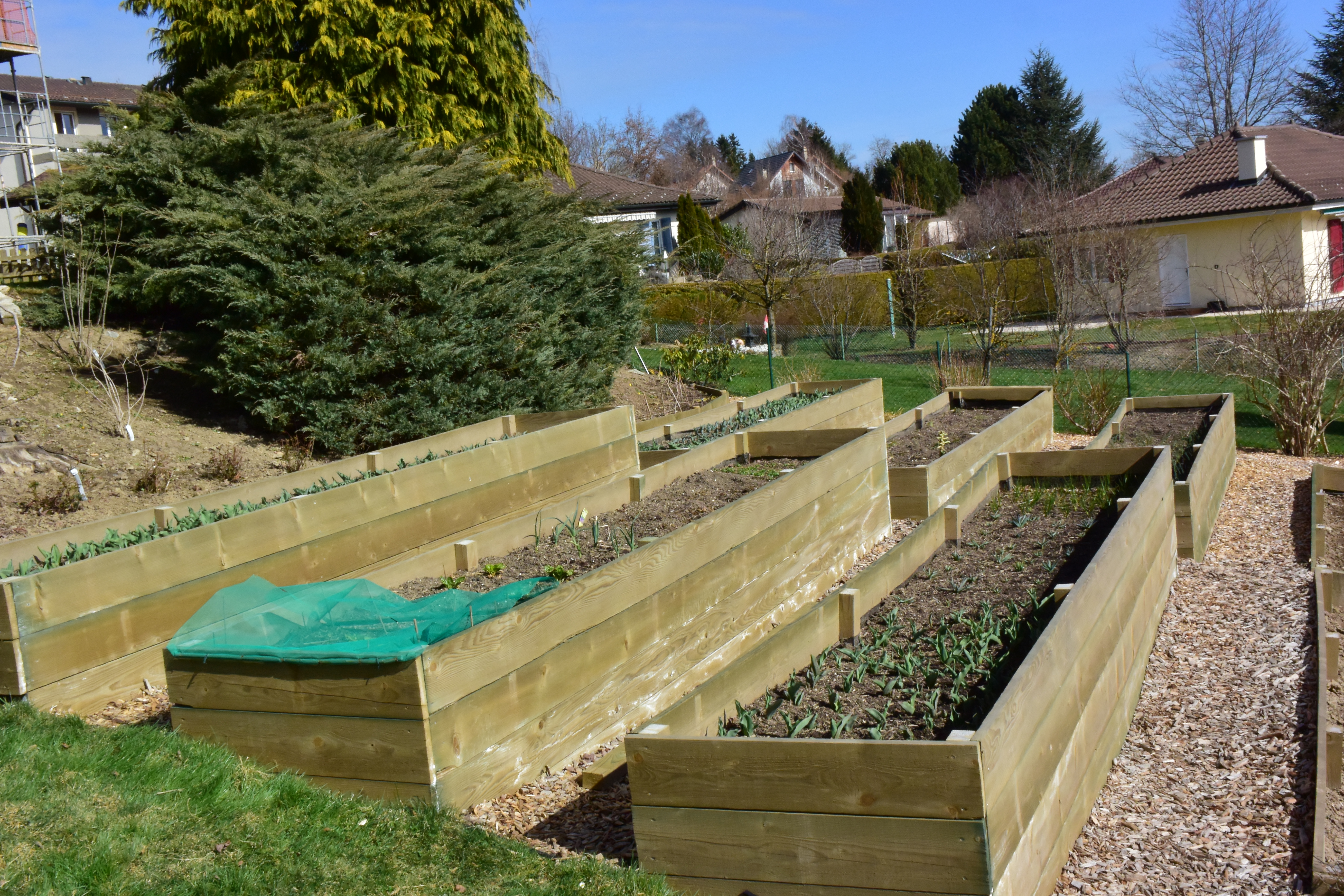 Potagers surélevés - Image 2